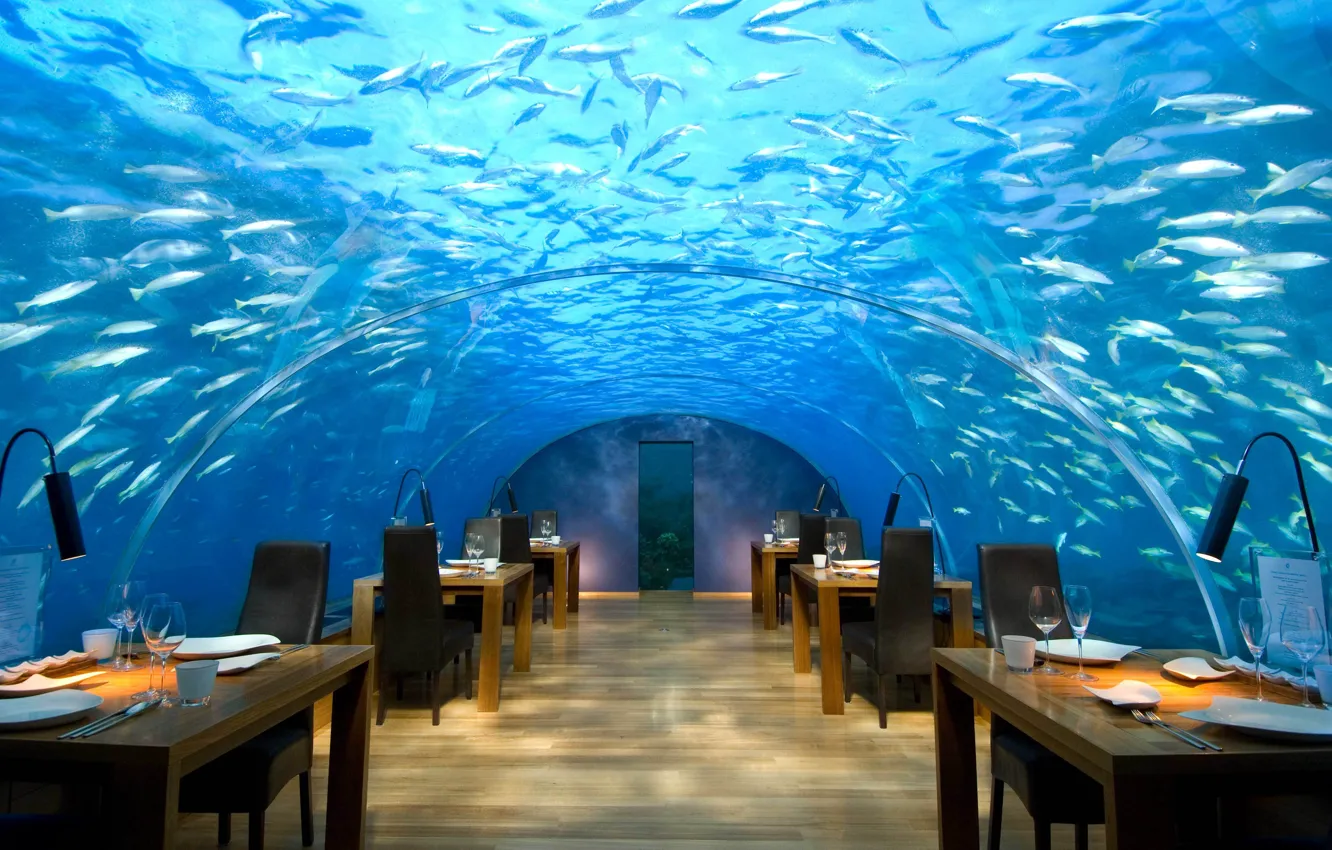 Photo wallpaper design, style, interior, restaurant, The Maldives, the hotel, under water, maldives