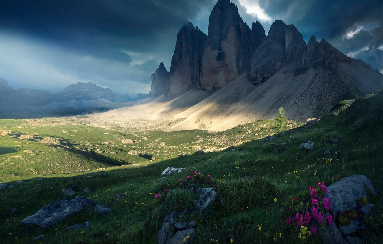 Photo wallpaper grass, landscape, flowers, mountains, clouds, nature, stones, Alps