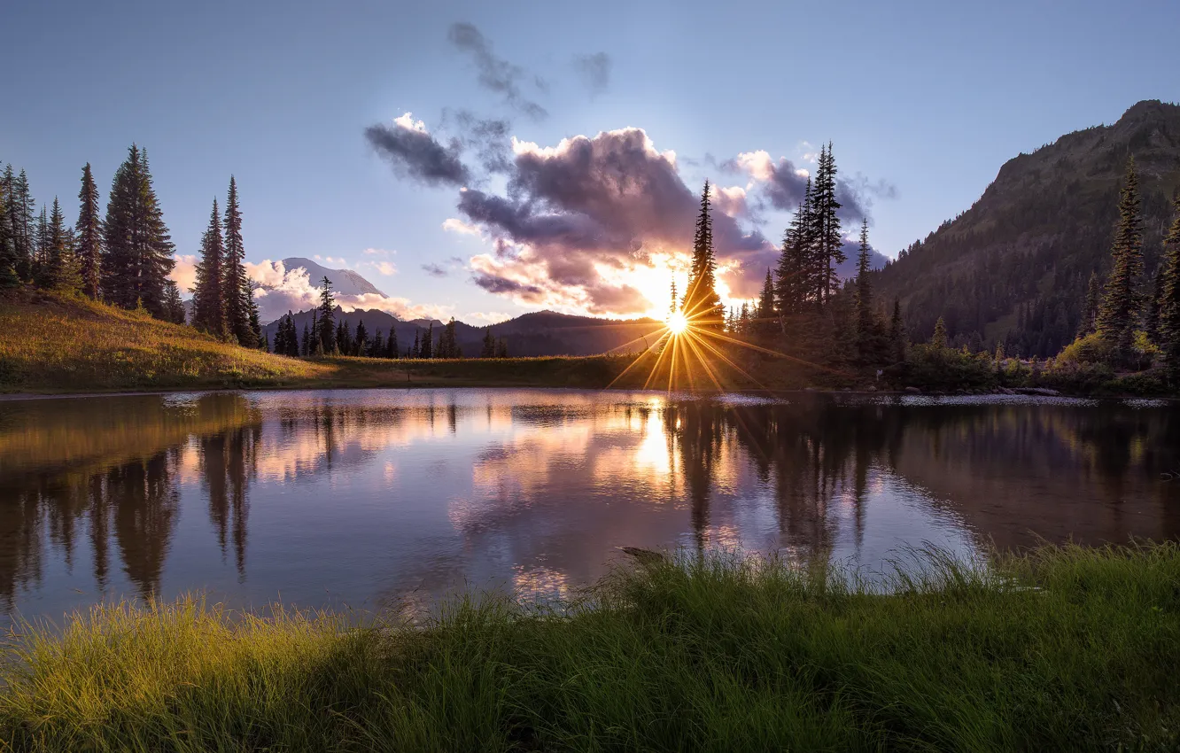 Photo wallpaper forest, summer, grass, the sun, clouds, rays, sunset, mountains