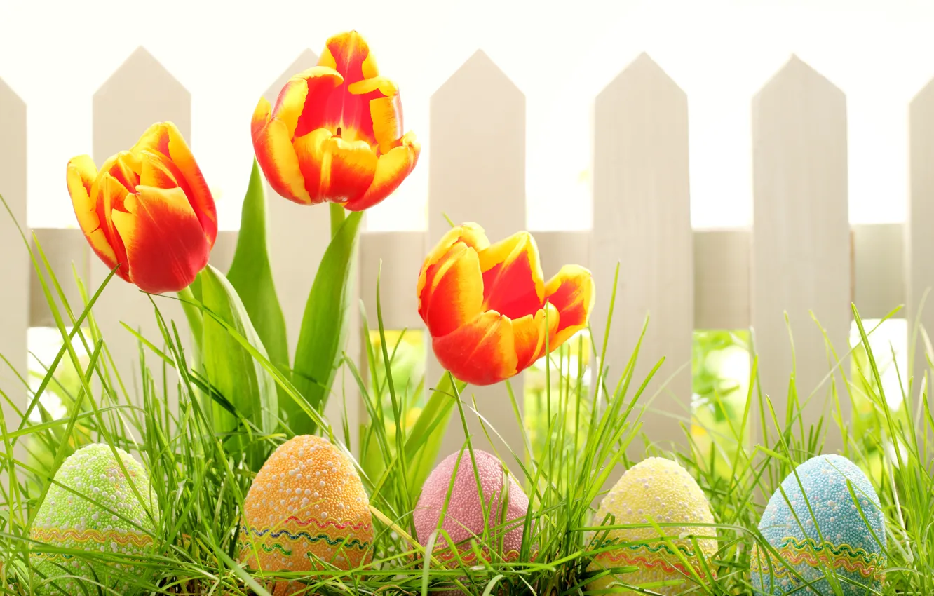 Photo wallpaper grass, flowers, nature, holiday, the fence, eggs, spring, Easter
