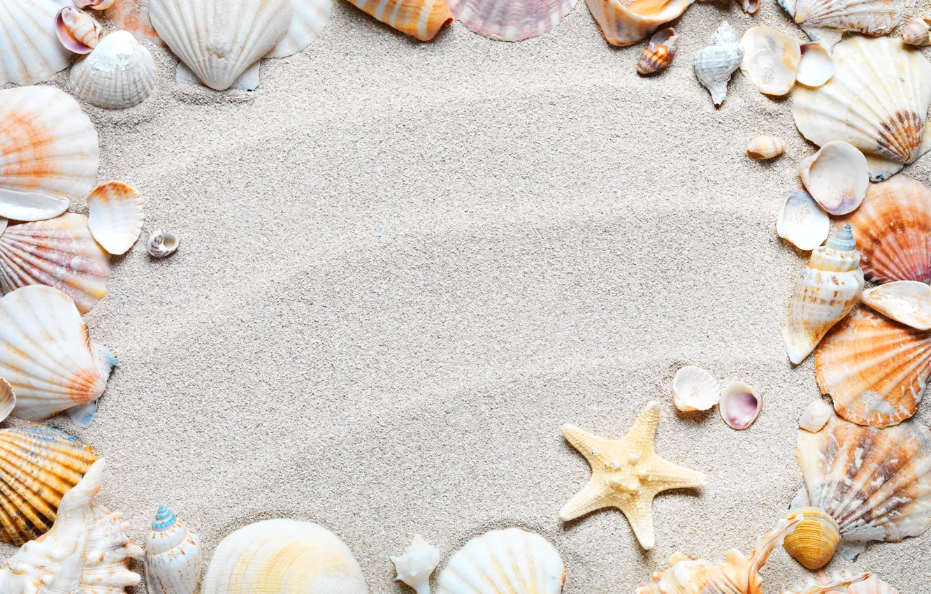 Photo wallpaper sand, beach, frame, shell, sand, starfish, seashells