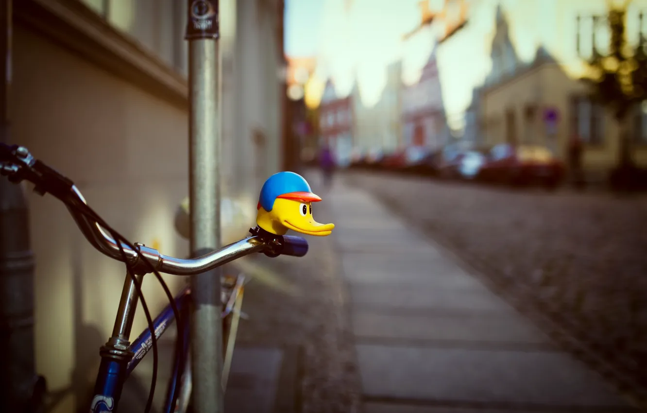 Photo wallpaper bike, house, duck