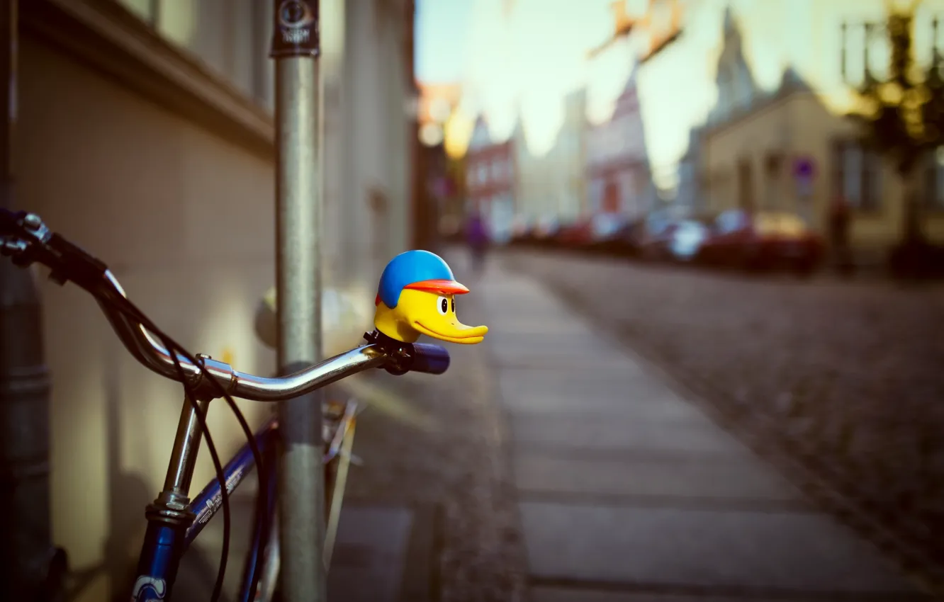 Photo wallpaper bike, duck, home