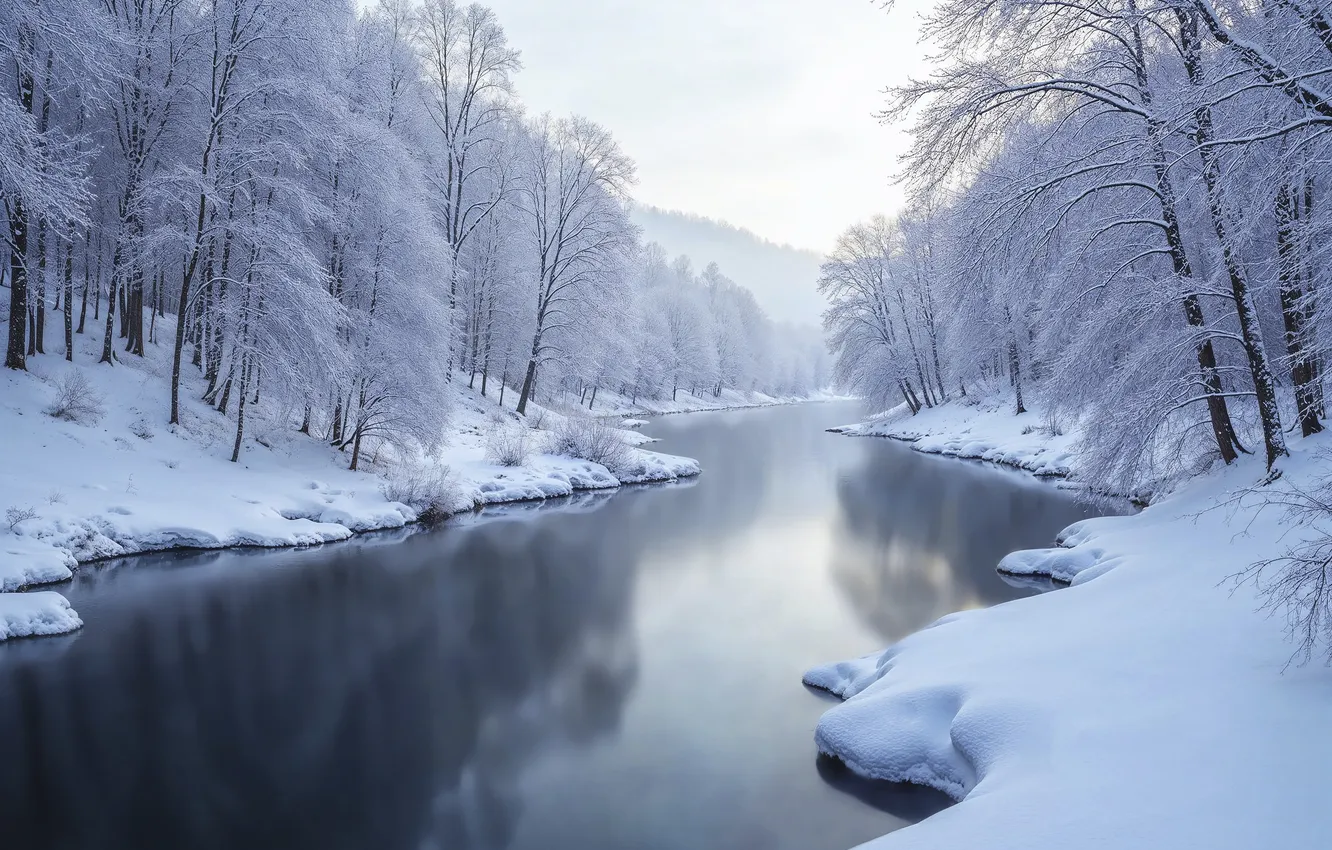 Photo wallpaper winter, forest, snow, trees, river, tree, forest, river
