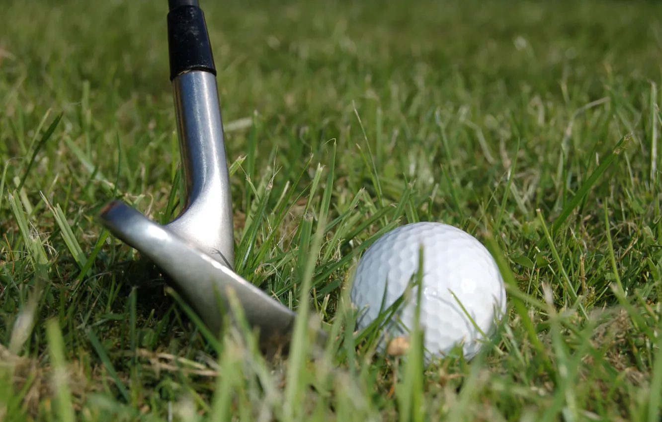Photo wallpaper grass, macro, the ball, stick, Golf