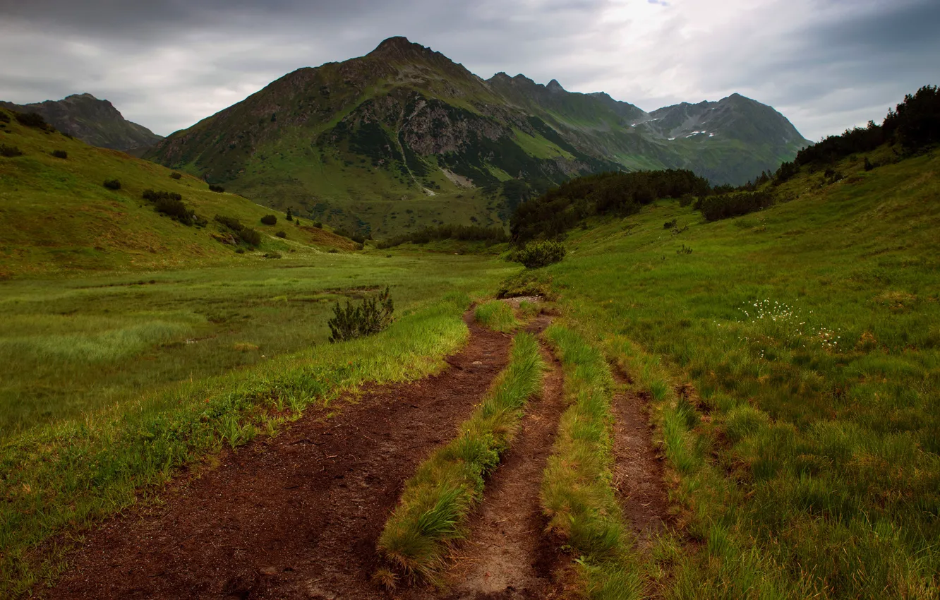 Photo wallpaper road, mountains, green, the way, hills, path