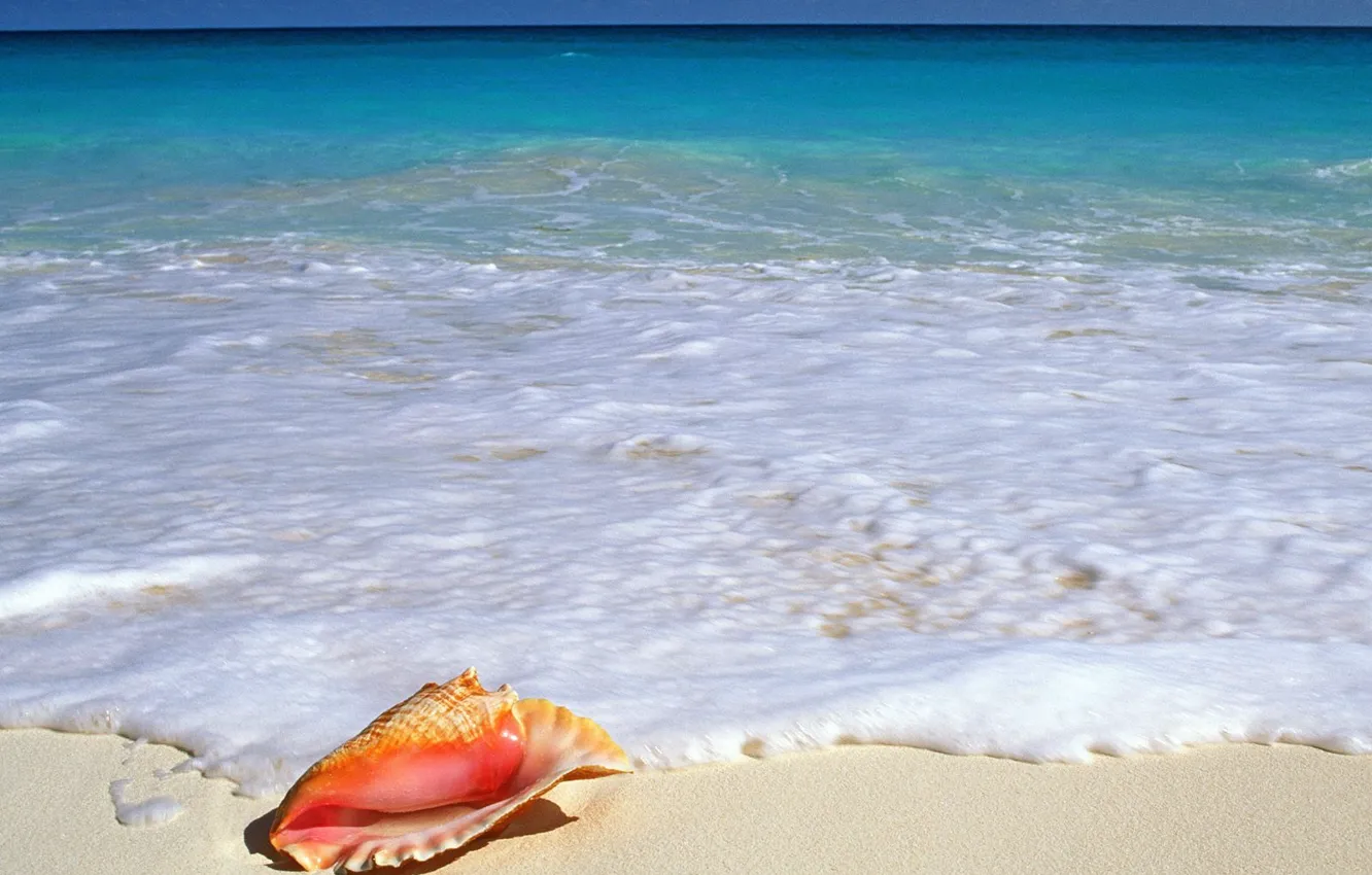 Photo wallpaper sea, foam, shell