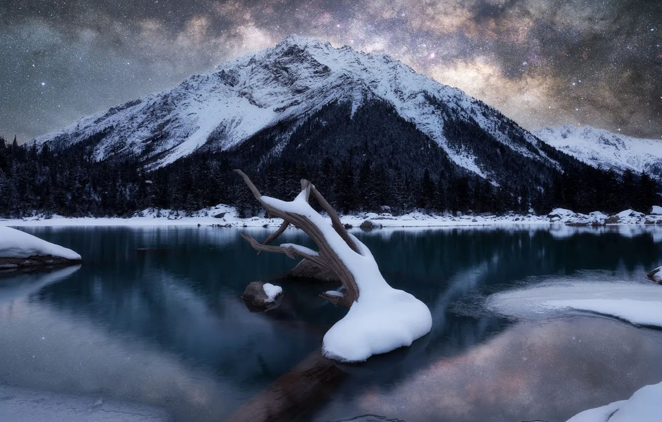 Photo wallpaper ice, winter, forest, stars, snow, trees, mountains, night