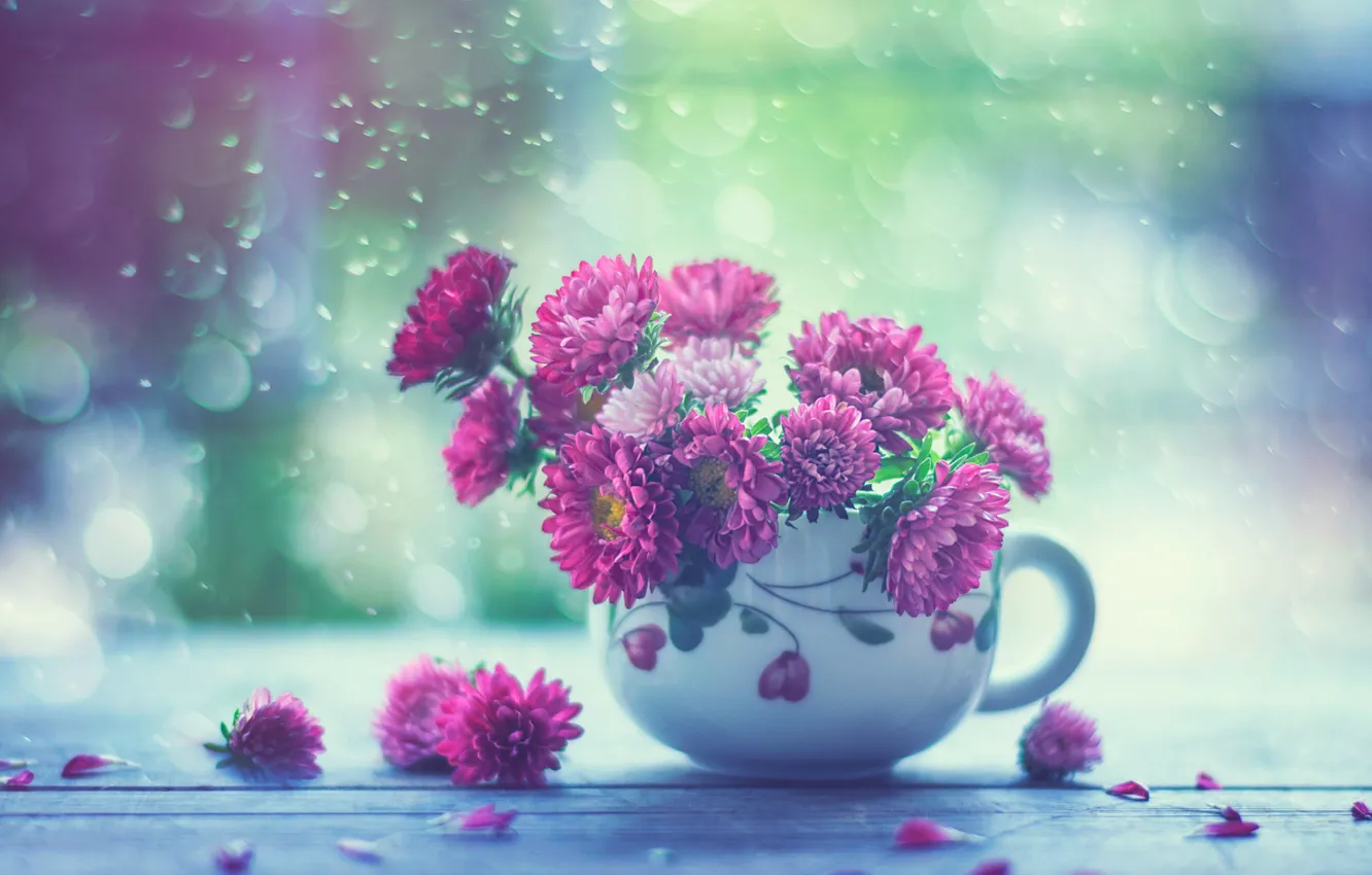 Photo wallpaper macro, flowers, petals, Cup, bokeh