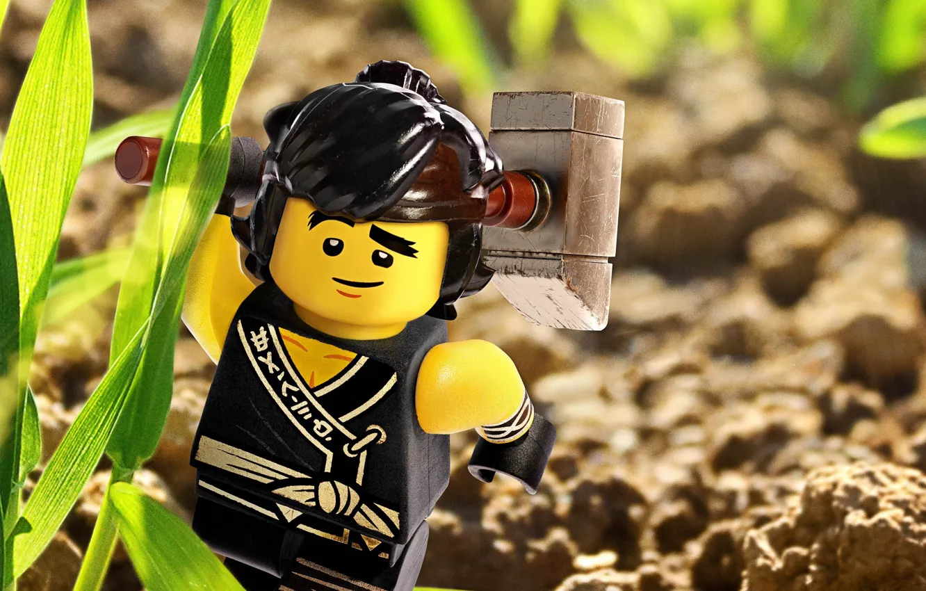 Photo wallpaper Lego, Cole, animated film, animated movie, The Lego Ninjago