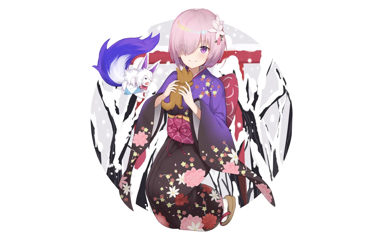 Photo wallpaper anime, art, girl, Fate/Stay Night, animal