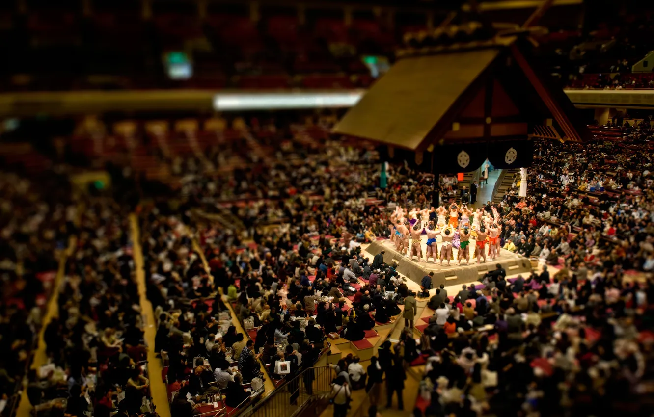 Photo wallpaper Japan, tilt shift, Sumo, Sport, Asia, Yokozuna