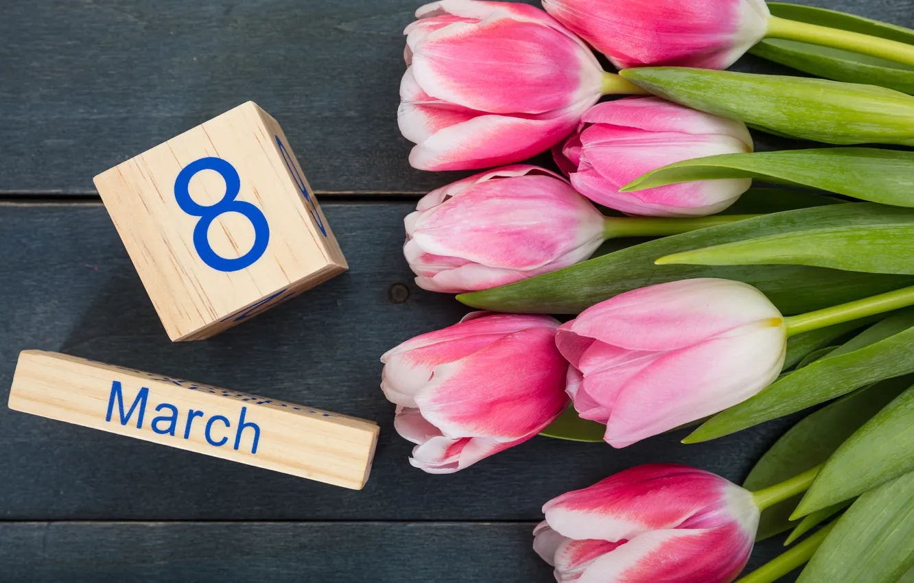 Photo wallpaper flowers, bouquet, tulips, March 8, pink, flowers, tulips, spring