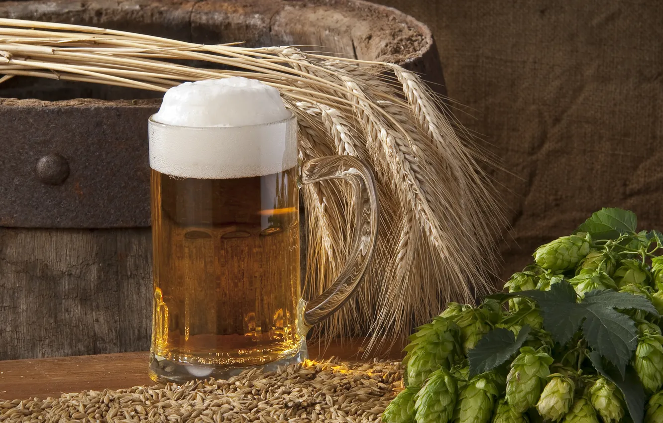 Photo wallpaper foam, glass, beer, ears, barrel, hops