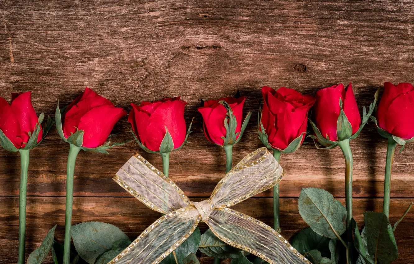 Photo wallpaper flowers, red, roses, bouquet, tape, red, bow, buds