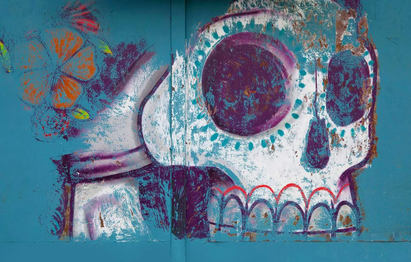 Photo wallpaper figure, skull, Mexico, Halloween, painting, Oaxaca