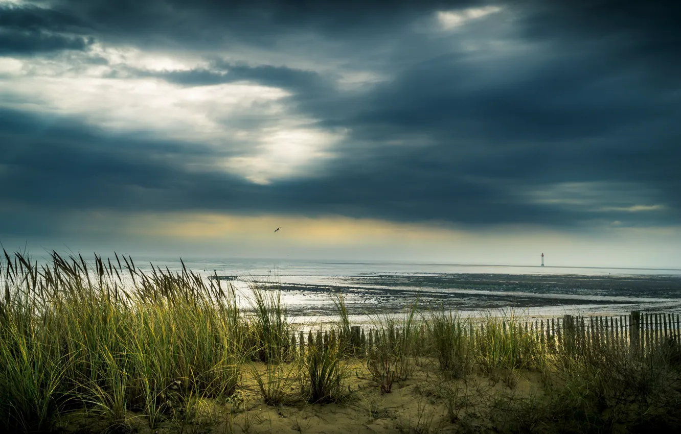 Photo wallpaper sea, shore, the evening