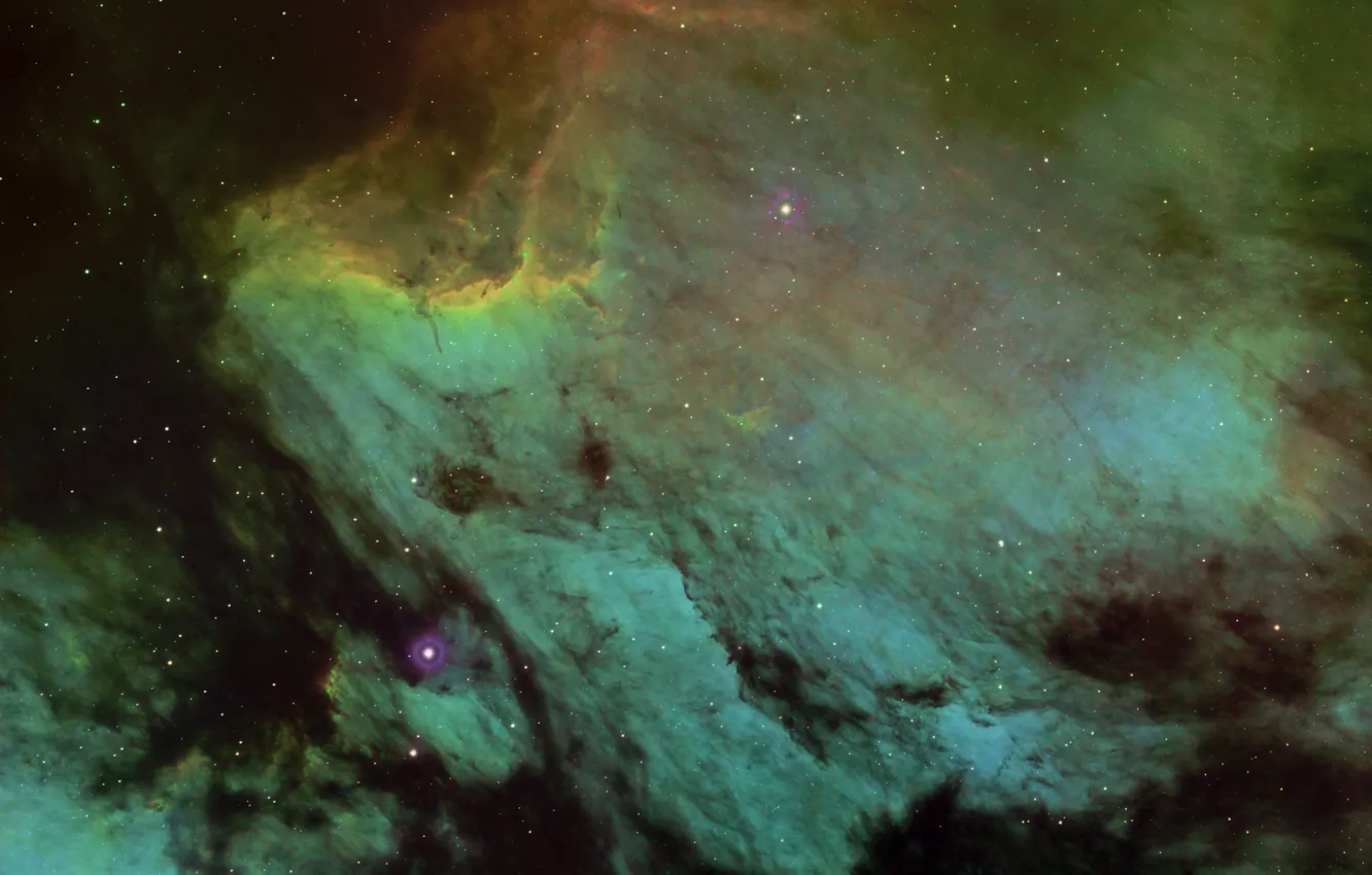 Photo wallpaper in the constellation, Swan, Pelican nebula, Pelican Nebula