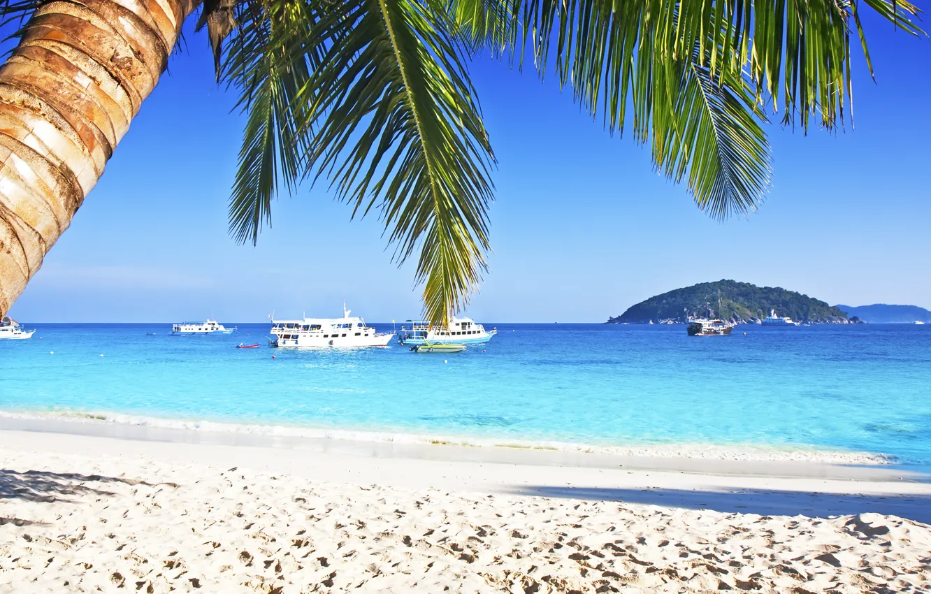 Photo wallpaper sand, sea, beach, the sun, palm trees, shore, summer, beach