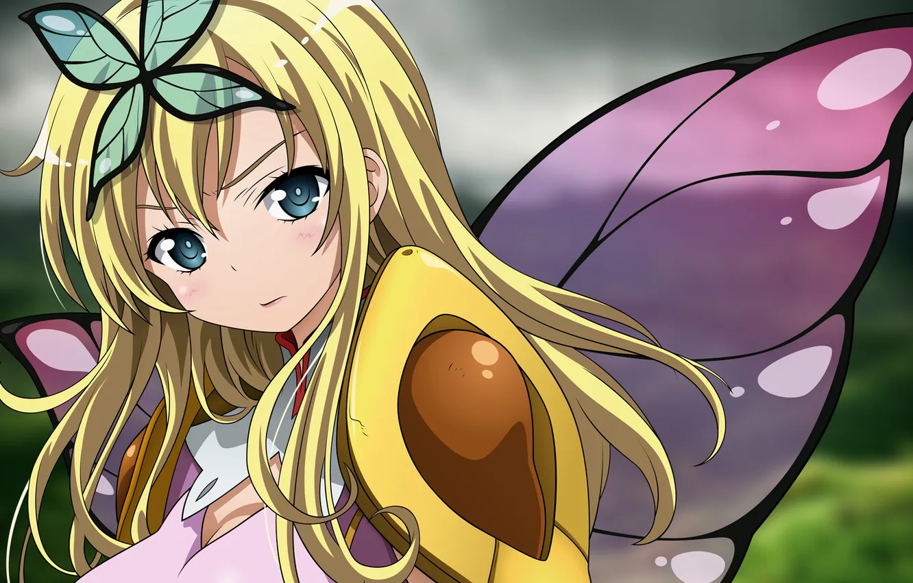 Photo wallpaper look, girl, wings, fairy, boku wa tomodachi ga sukunai, kashiwazaki sena