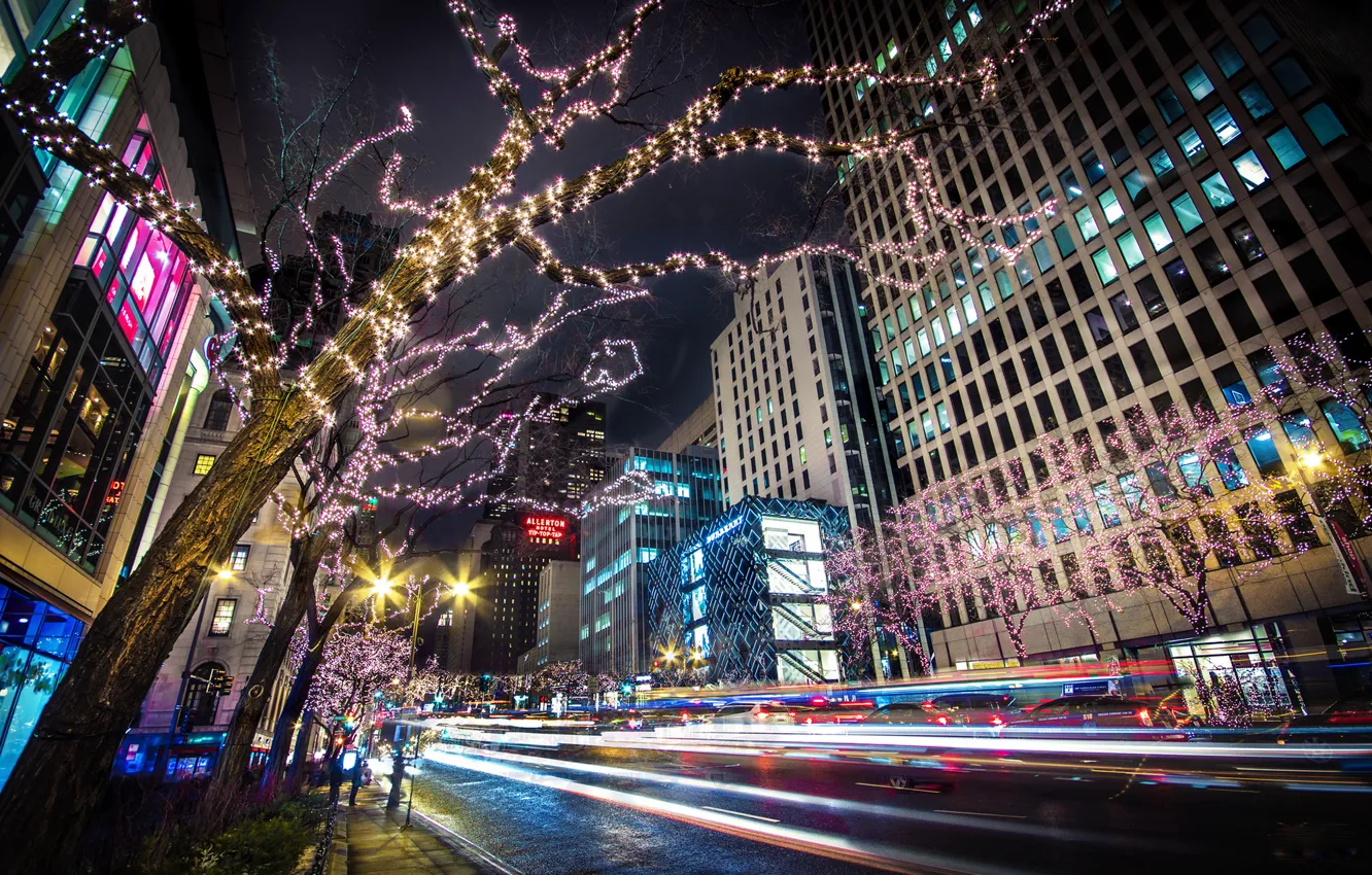 Photo wallpaper road, trees, night, the city, lights, building, home, skyscrapers