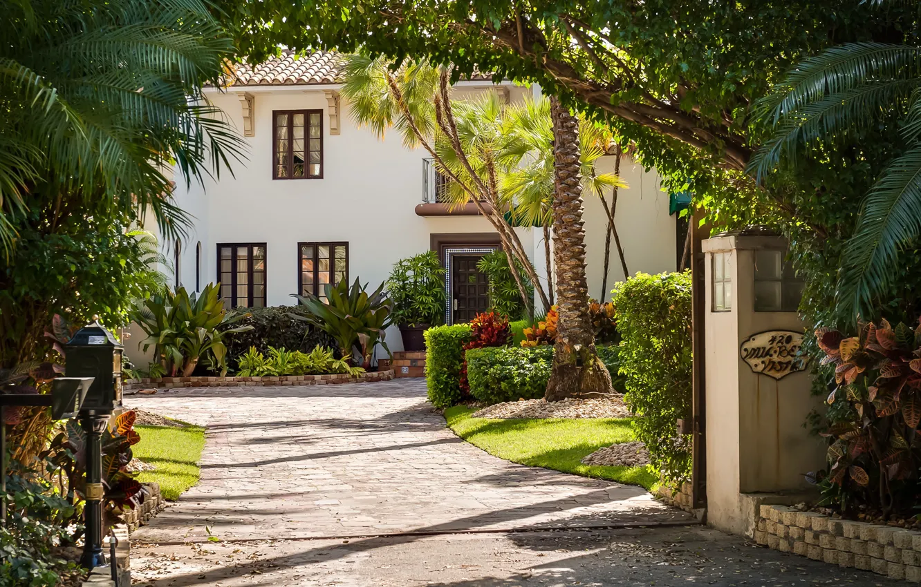 Photo wallpaper road, the city, palm trees, Villa