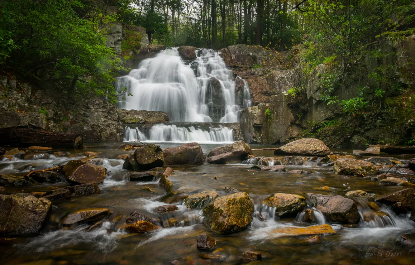 Photo wallpaper forest, river, stones, waterfall, PA, cascade, Pennsylvania, Hawk Falls