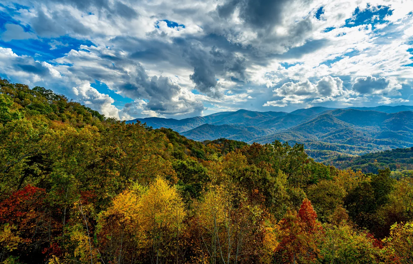 Photo wallpaper autumn, forest, the sky, the sun, clouds, trees, mountains, HDR