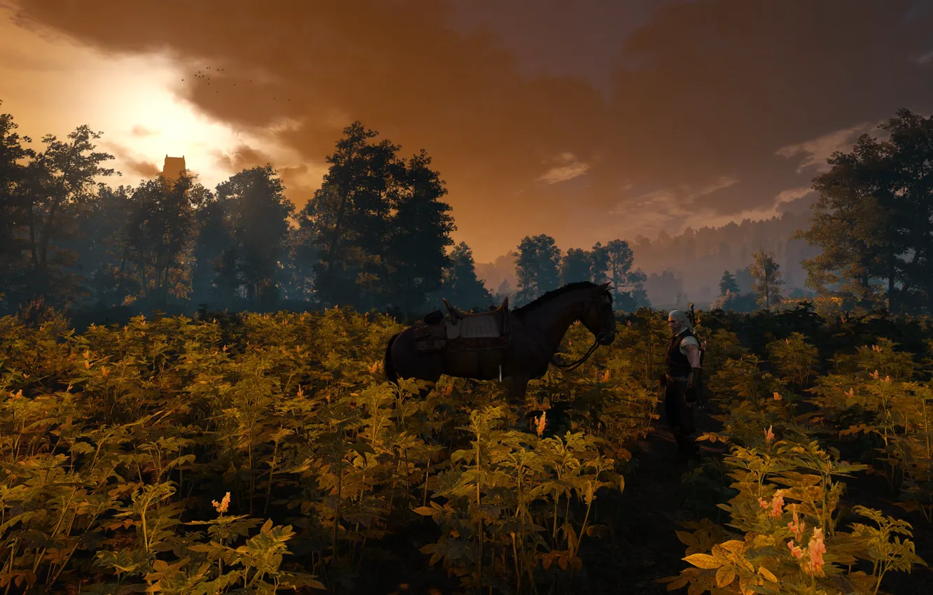 Photo wallpaper warrior, Roach, sword, armor, horse, Geralt, sunrise, fog