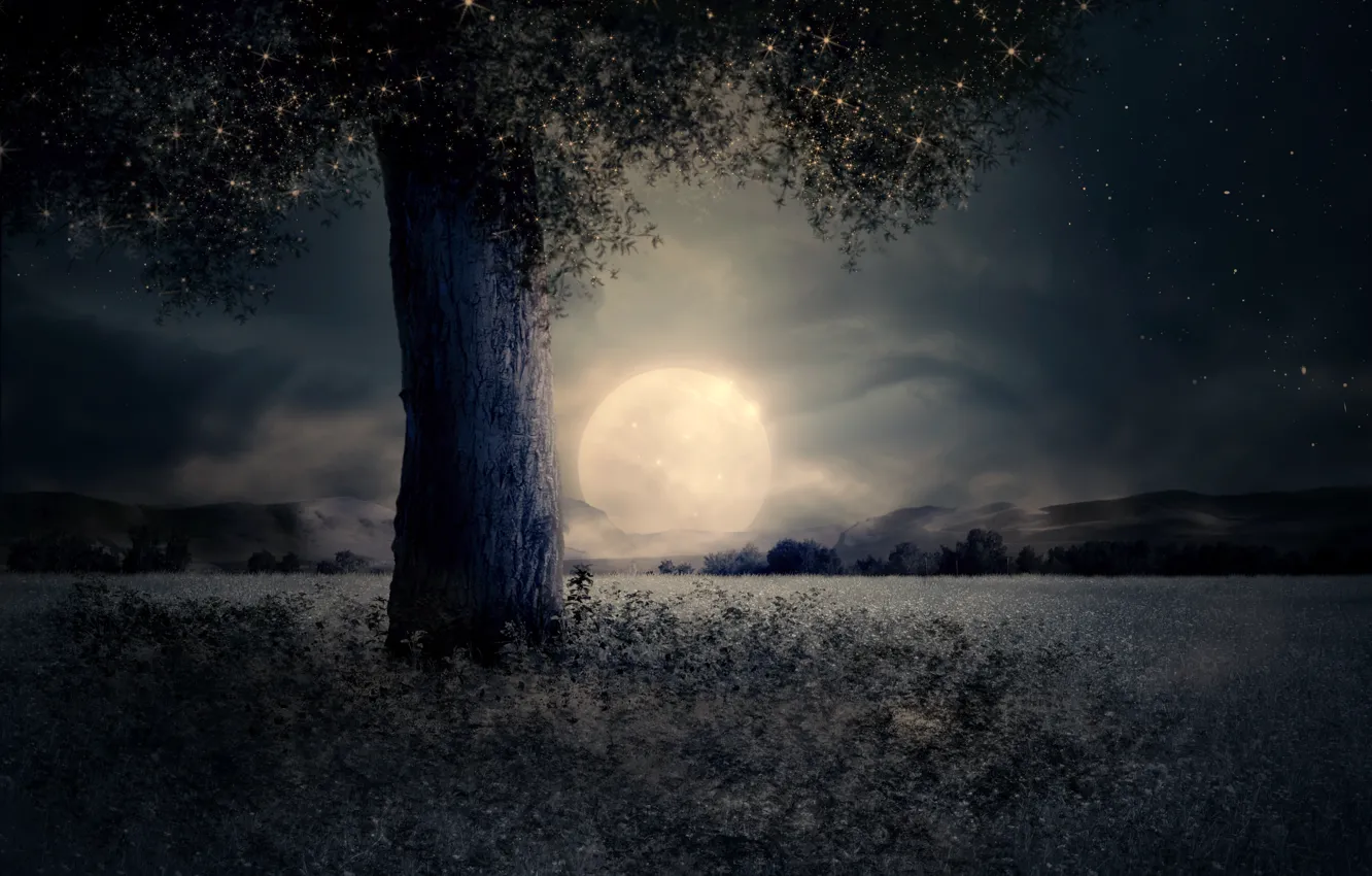 Photo wallpaper field, the sky, stars, clouds, light, trees, night, nature