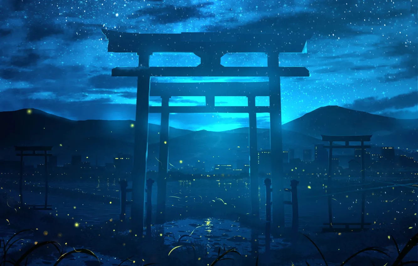 Photo wallpaper the sky, night, nature, torii