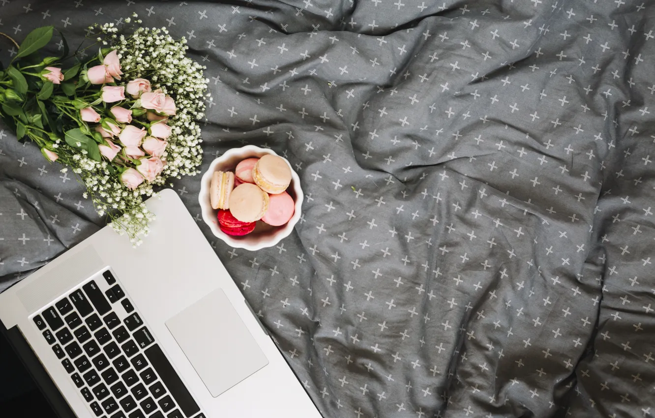 Photo wallpaper flowers, roses, blanket, cake, pink, flowers, roses, macaroon