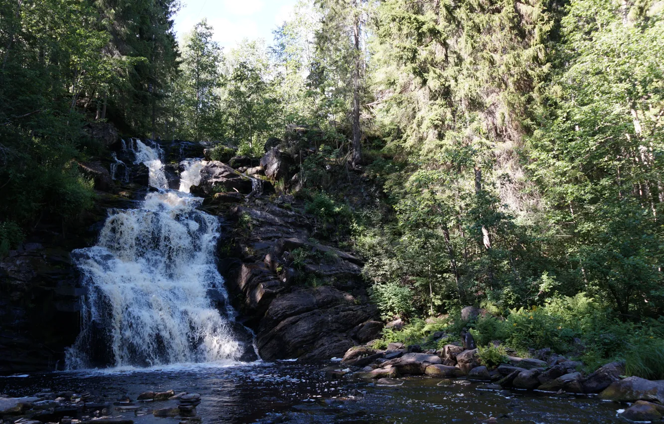 Photo wallpaper forest, river, waterfall, forest, river, waterfall