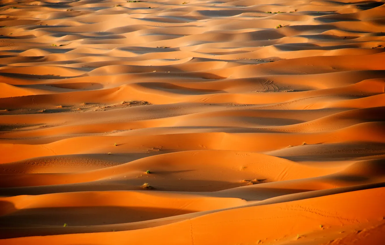 Photo wallpaper desert, dunes, Africa, Sugar, Morocco