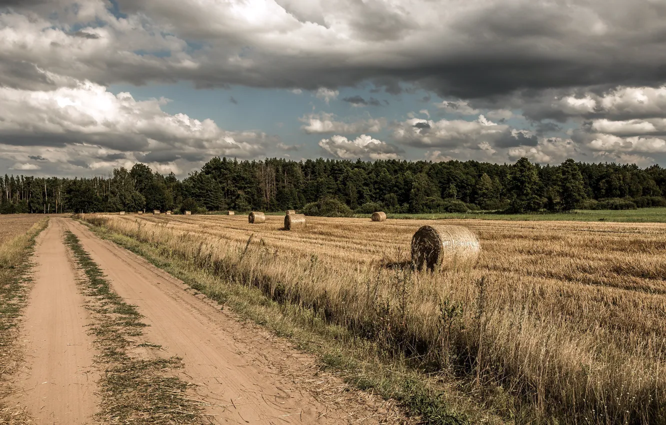 Photo wallpaper road, field, autumn, hay