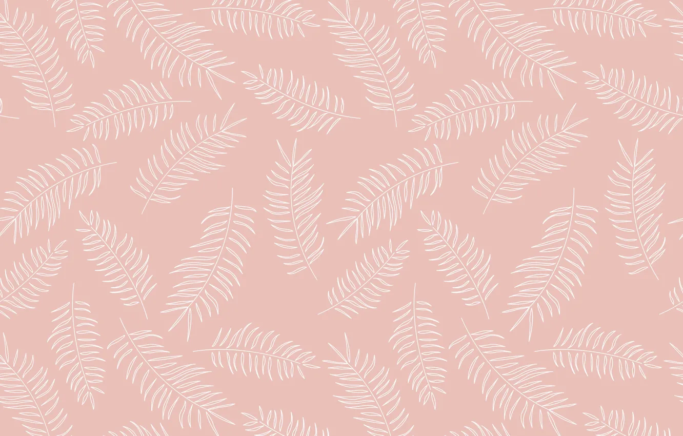 Photo wallpaper pattern, texture, Background, feathers