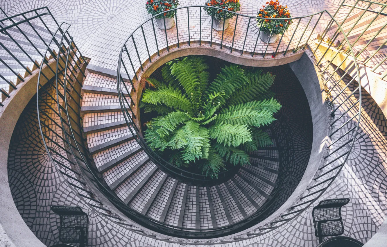 Photo wallpaper flowers, ladder, hall