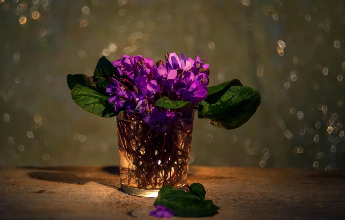 Photo wallpaper purple, leaves, light, flowers, glass, table, still life, a bunch