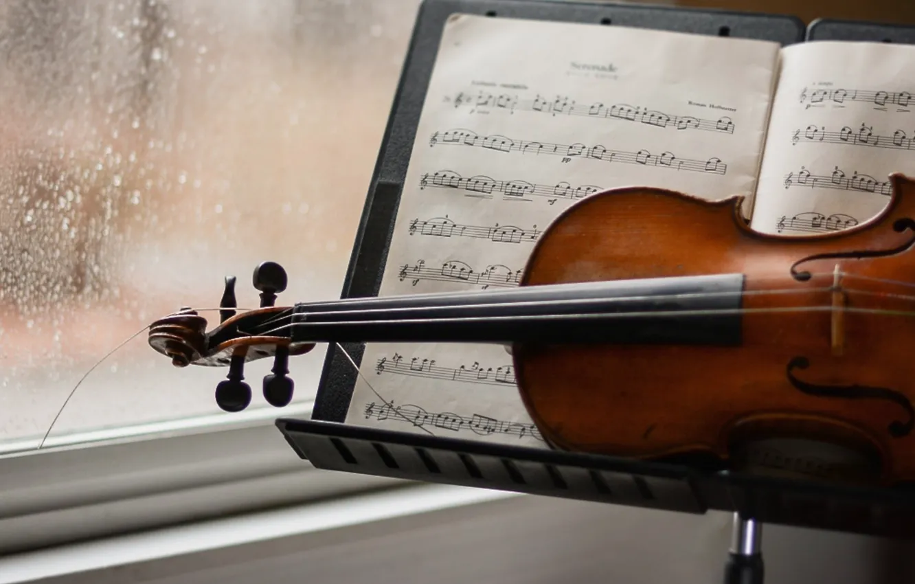 Photo wallpaper notes, music, violin