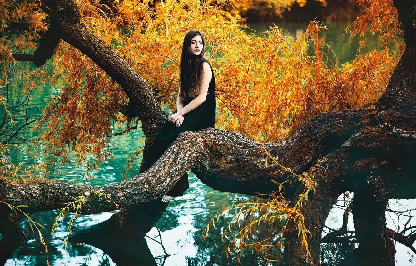 Photo wallpaper autumn, leaves, girl, river, tree, Diane