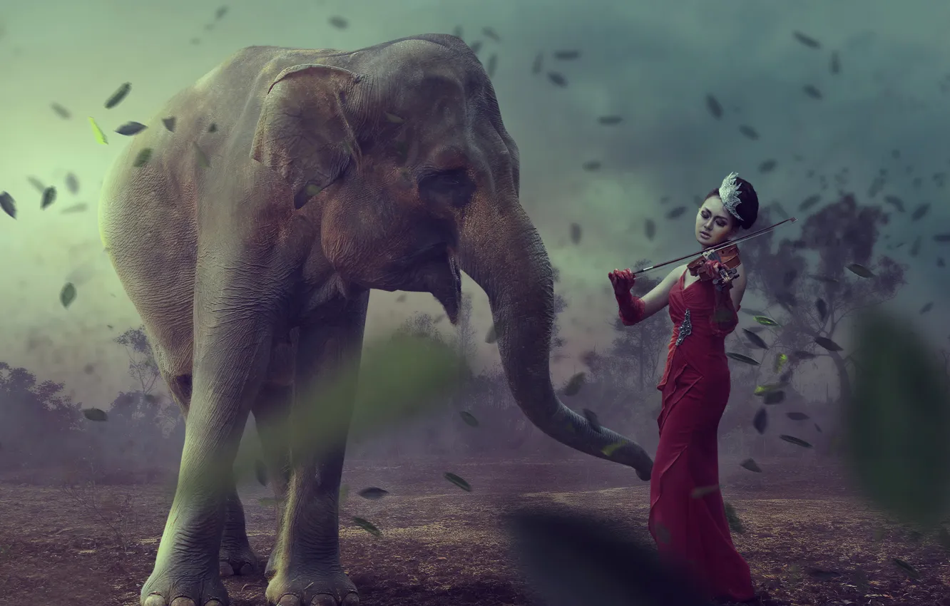 Photo wallpaper girl, fantasy, violin, elephant, art, Earth Music