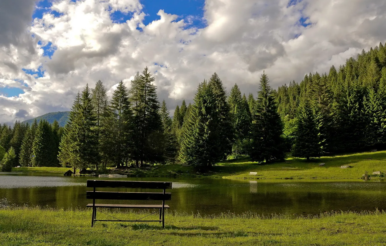 Photo wallpaper forest, the sky, grass, water, clouds, mountains, bench, nature