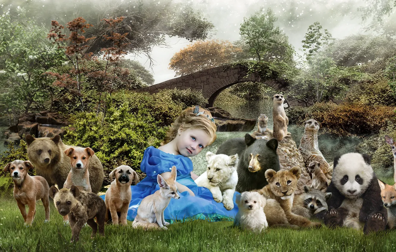 Photo wallpaper grass, trees, nature, animal, dog, meerkats, Leo, deer