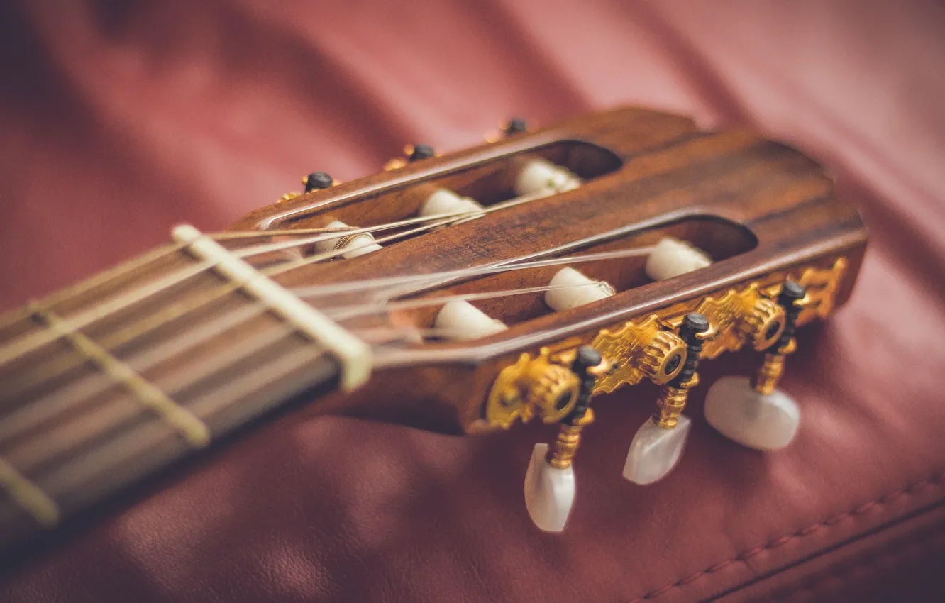 Photo wallpaper guitar, strings, tool, Grif