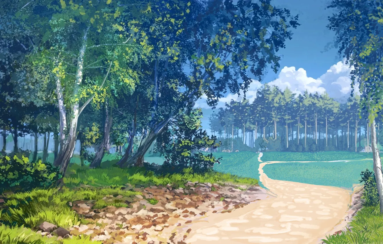 Photo wallpaper forest, trees, the edge of the forest