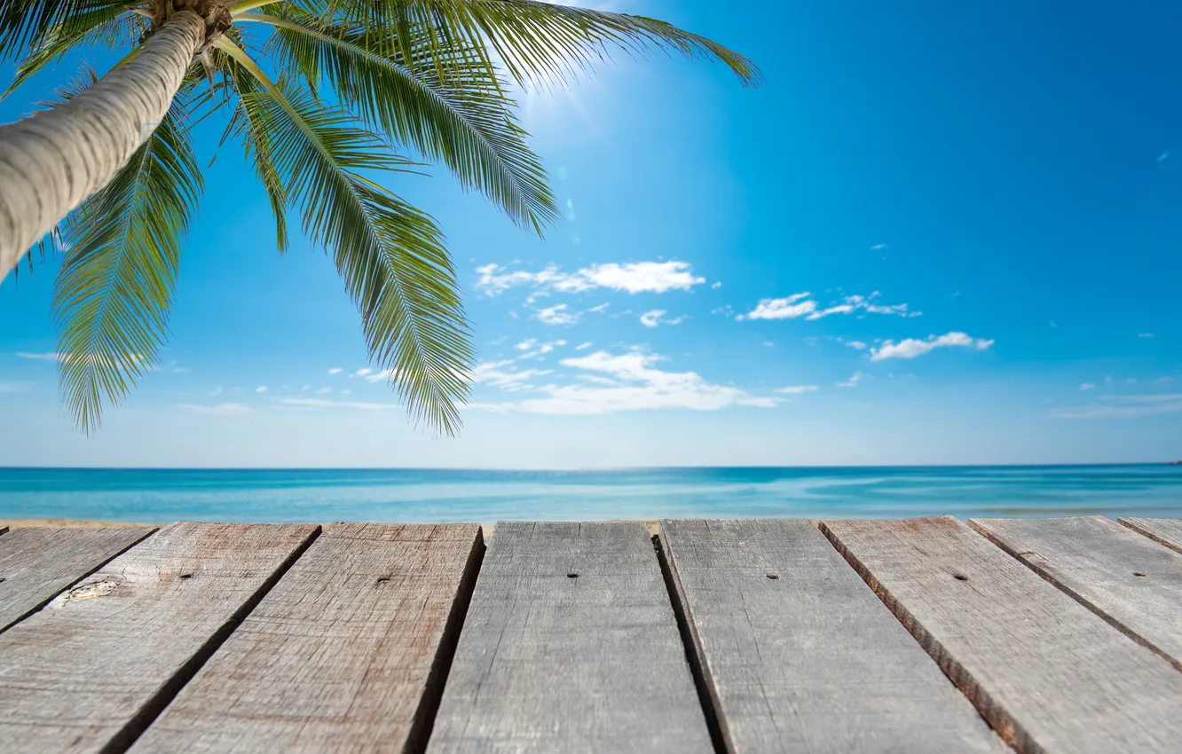 Photo wallpaper sea, beach, summer, the sky, palm trees, summer, beach, sea