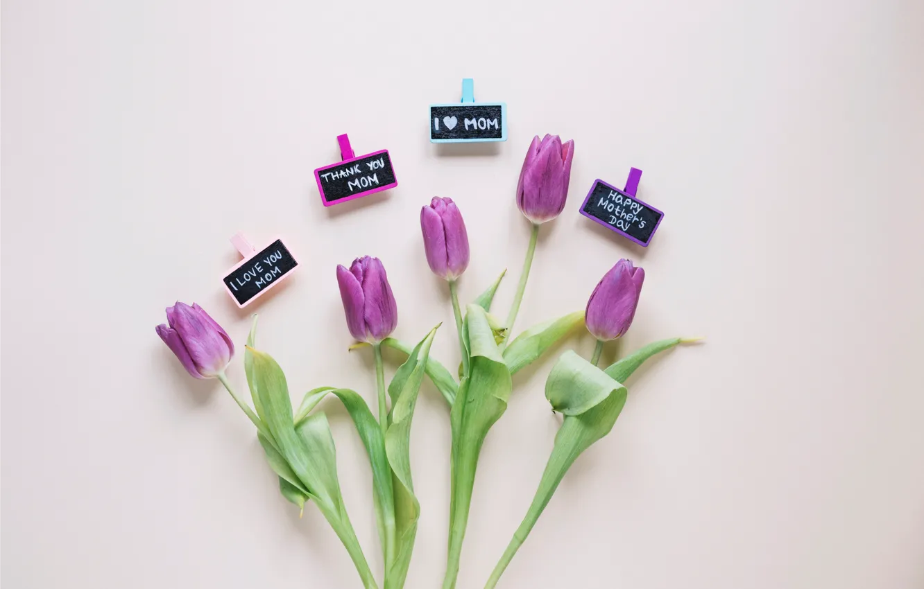 Photo wallpaper flowers, gift, bouquet, tulips, love, fresh, flowers, romantic