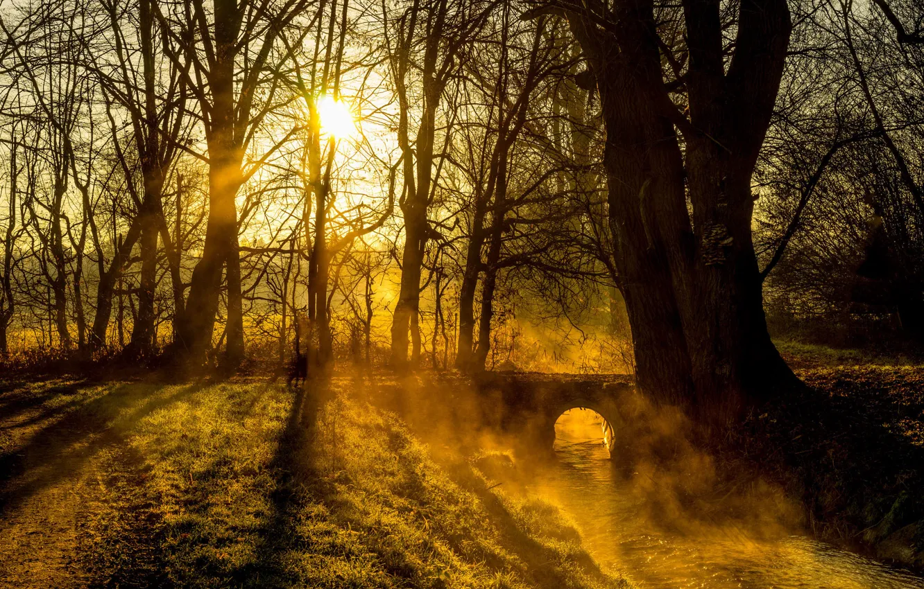 Photo wallpaper Christmas, river, trees, nature, bridge, morning, sun, fog