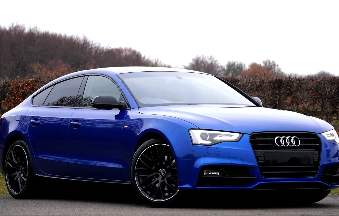 Photo wallpaper car, Audi, Audi, auto, photo, Automobiles, vehicle, headlight