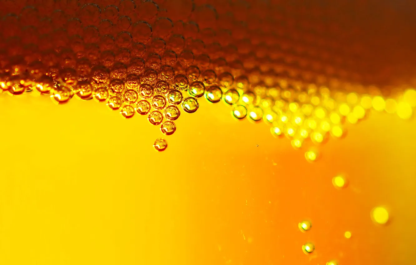 Photo wallpaper bubbles, beer, alcohol